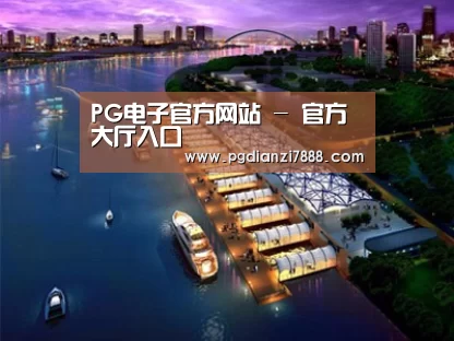 案例展示八