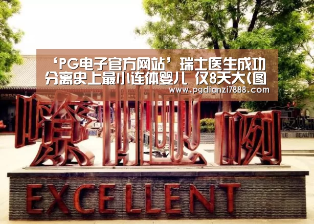 ‘PG电子官方网站’瑞士医生成功分离史上最小连体婴儿 仅8天大(图)(图4) PG麻将在线玩