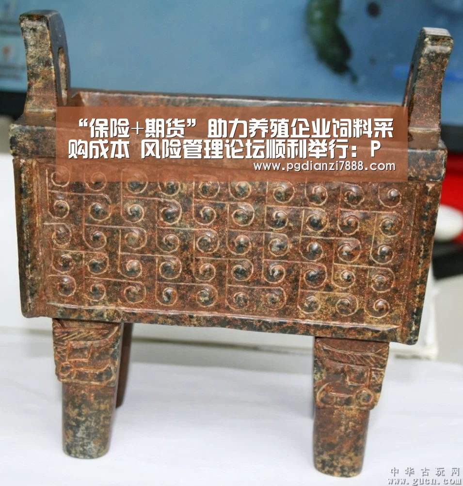 “保险+期货”助力养殖企业饲料采购成本 风险管理论坛顺利举行:PG麻将在线玩(图1) PG麻将在线玩