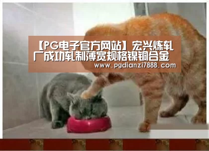 【PG电子官方网站】宏兴炼轧厂成功轧制薄宽规格镍铜合金板(图1) PG电子官方网站