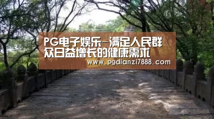 PG电子官方网站