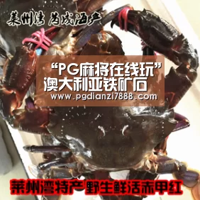 PG电子娱乐