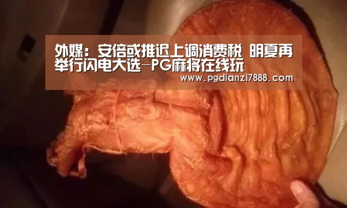 外媒:安倍或推迟上调消费税 明夏再举行闪电大选-PG麻将在线玩(图3) PG电子娱乐中心