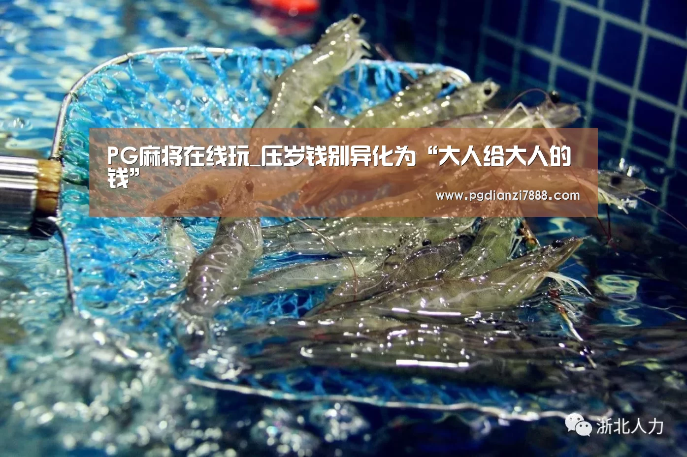 PG电子官方网站