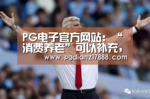 PG电子官方网站:“消费养老”可以补充,不能成依赖(图2) PG电子娱乐